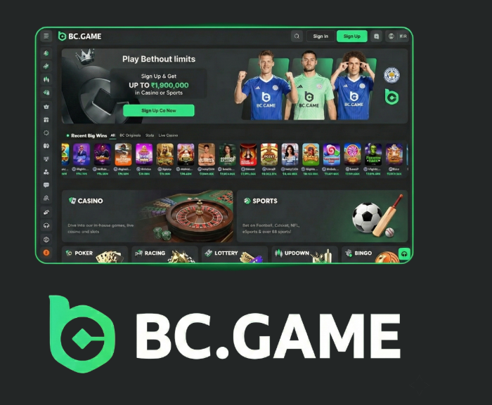 Experience Gaming on the Go with the BC.Game Mobile App -365105026