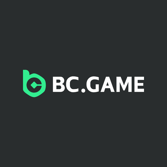 Understanding the BC.Game Login Process A Step-by-Step Guide -237307104